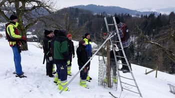 Obstschnitt-Kurs 